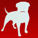 Illustration for article titled Brutal Zynga Update: 13 Games Sunsetting. More Studio Shutdowns. 5% Workforce Reduction